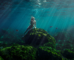 Beth Mitchell | Lethbridge Gallery